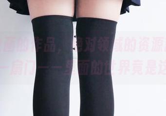 兔玩映画的作品，绝对领域的资源就像是打开一扇门——里面的世界竟是这样！
