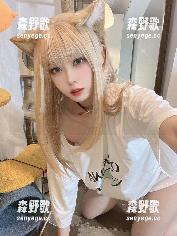 女仆风情，安食Ajiki的原图免费分享，快来下载看看