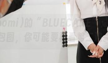 普美(bomi)的“BLUECAKE”：下载这包图，你可能要再看第二遍。